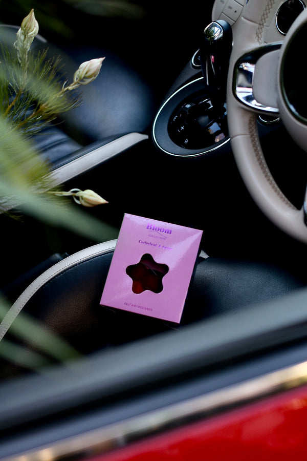Cedarleaf & Spice- Felt Air Freshener with Christmas Charm